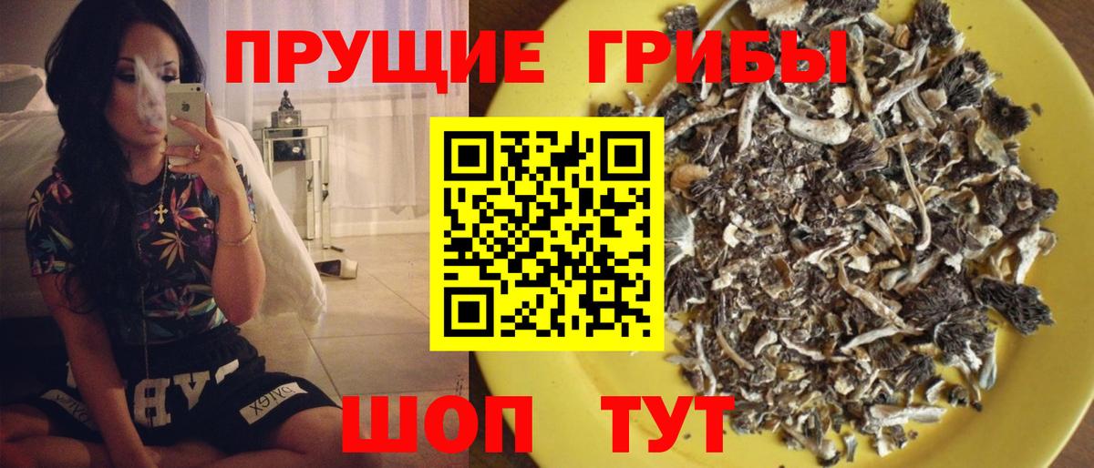 Новый Уренгой  Псилоцибиновые грибы Cubensis  где продают   Вход с VPN 